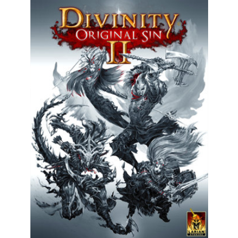 Divinity: Original Sin 2 - Divine Edition Steam Gift NORTH AMERICA