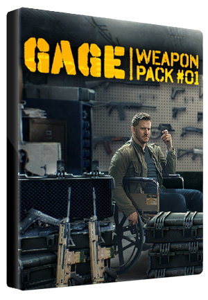 PAYDAY 2: Gage Weapon Pack #01 Steam Gift GLOBAL